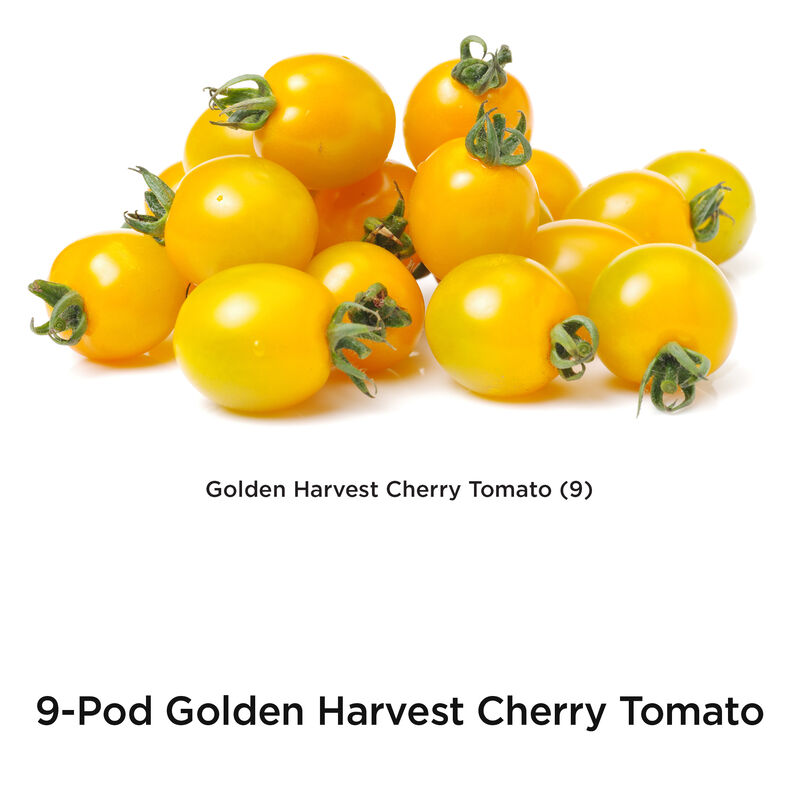 Golden Harvest Cherry Tomato Seed Pod Kit image number null